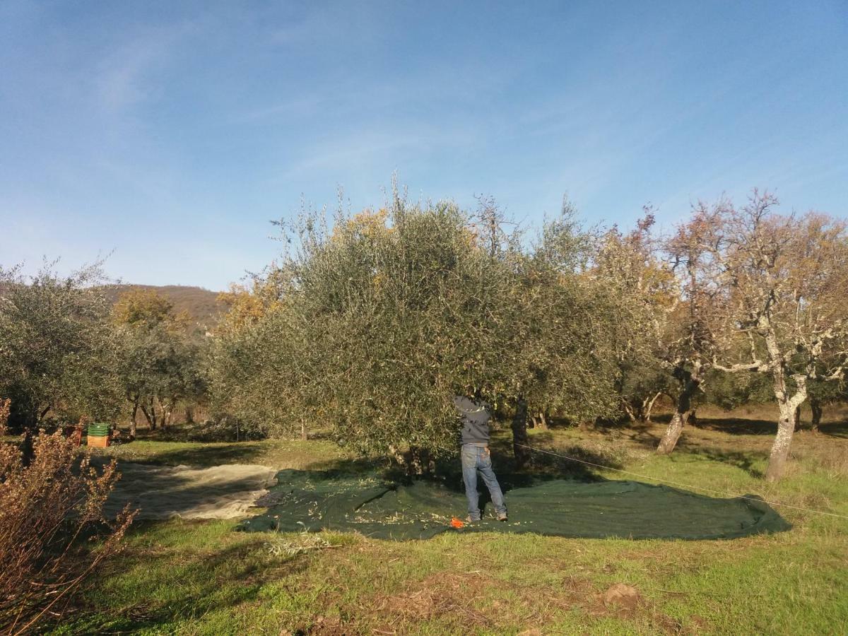 Borgo San Michele Incisa Tuscany Incisa in Val d'Arno Eksteriør billede